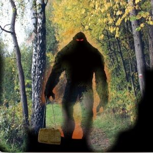 Unique furry, brown bag. Bigfoot  needs one too!​​